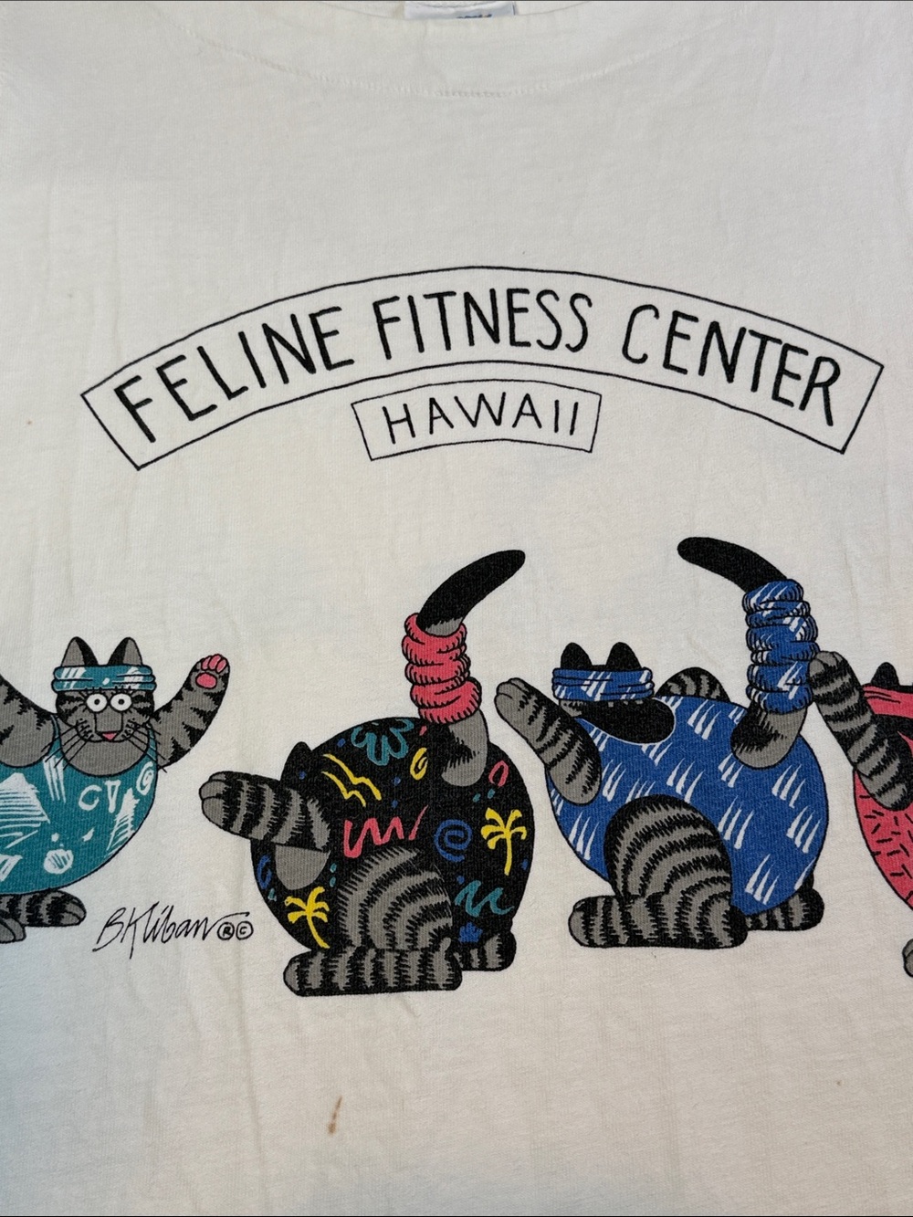 Vintage Kliban Cat Tank Top Feline Fitness Center Hawaii Women’s M Yoga Aerobics